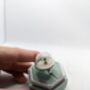 Tiny Terrarium Penguin Dome Ring, thumbnail 4 of 5