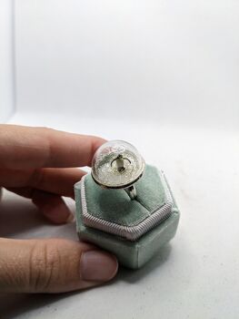 Tiny Terrarium Penguin Dome Ring, 4 of 5