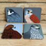 Birds Of Prey Coasters 'Choice Of Four Designs', thumbnail 1 of 5