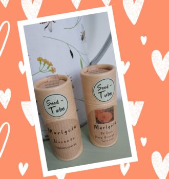 Marigold Seeds In A Seedtube, 4 of 6