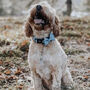 Dog Collar | Blue Polka Dot, thumbnail 2 of 5