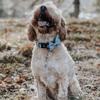 Dog Collar | Blue Polka Dot, 2 of 5