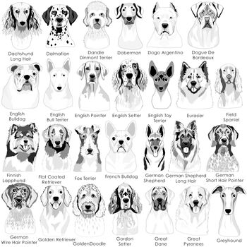 Heart Pastel Silicone Silent Dog ID Tag Personalised, 5 of 12