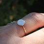 Initial Coin Signet Ring In Solid 9ct Gold, thumbnail 4 of 5