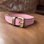 Two Tone Colourful Buffalo Leather Dog Collar, thumbnail 4 of 5
