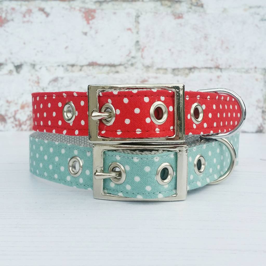 Dog Collar Traditional Buckle Dotty For Dots By Woof and Meow