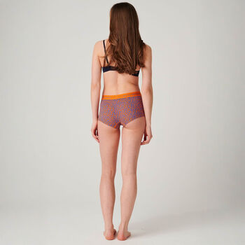 Women's 'Wild Cat' Four Pack Bamboo Hipster Briefs, 9 of 12