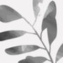 Black And White Modern Botanical Prints, thumbnail 5 of 6