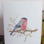 Bullfinch And Blossom Greetings Card, thumbnail 9 of 10