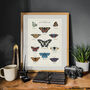British Butterfly Art Poster, thumbnail 8 of 10