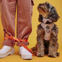 Dog Harness Puppy Harness In Orange And Blue Terrazzo, thumbnail 3 of 9