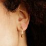 Classic Maxi Hoop Earrings, Silver Or Gold Plated, thumbnail 1 of 5