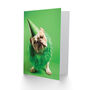 Dog Lover Pet Party Hat Bulldog Fun Birthday Card, thumbnail 2 of 4