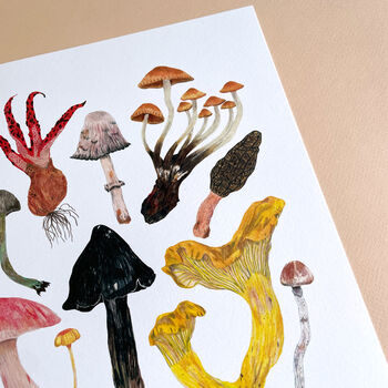Mushroom And Toadstools Print, 8 of 8