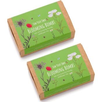 Wildflower Seedball For Bees And Butterflies 2x Boxes, 4 of 10