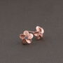 Sterling Silver Forget Me Not Flower Earrings Studs, thumbnail 6 of 7