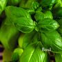 Father’s Day BBQ Garden Seed Kit – Grow Your Own Tomatoes, Chillies And Herbs. Birthday Options Available, thumbnail 8 of 12