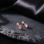 Extra Tiny Moonstone Droplet Screw Back Earrings, thumbnail 9 of 12