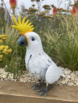 Metal Cockatiel Ornament, 3 of 6