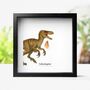 Velociraptor Tooth And Watercolour Illustration Box Frame Real Authentic Dinosaur Fossil Museum Quality Interior Design Home Decor Ornament, thumbnail 1 of 6