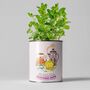 Homemade Brew Eco Grow Your Own Plant Kit, thumbnail 1 of 11