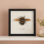 Paper Cut Honey Bee Wall Art Romantic Gift, thumbnail 4 of 8