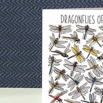 Dragonflies Of Britain Greeting Card, 4 of 7
