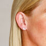 Bee Earrings In Silver, thumbnail 5 of 7