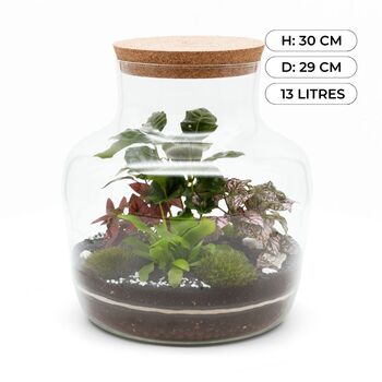 Make Your Own Terrarium Kit H: 30 Cm | 'Luxor', 3 of 10