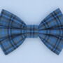 Blue Check Dog Bow Tie, thumbnail 3 of 5