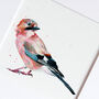 Inky Jay Bird Illustration Print, thumbnail 3 of 11