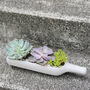 Cement Wine Bottle Planter Present Mothers Day Gift, thumbnail 4 of 4
