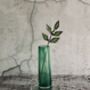 Stained Glass Olive Branch, thumbnail 2 of 5