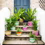Striped Recycled House Plant Pot Covers Three Sizes, thumbnail 1 of 12