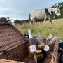 Meet The Donkeys Experience With Picnic For Two, thumbnail 5 of 9