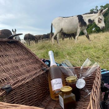 Meet The Donkeys Experience With Picnic For Two, 5 of 9