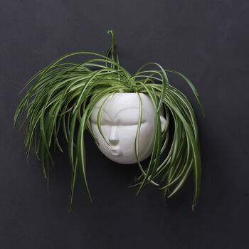 Fat Face Wall Planter, 2 of 4