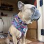 Candy Floral Dog Cat Velcro Bow Tie, thumbnail 2 of 5