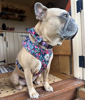 Candy Floral Dog Cat Velcro Bow Tie, 2 of 5