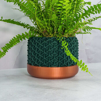 Forest Stellar Planter, 4 of 4