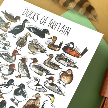 Ducks Of Britain Greeting Card, 10 of 12