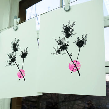 Smoketree Flower Pink Screen Print, 3 of 4