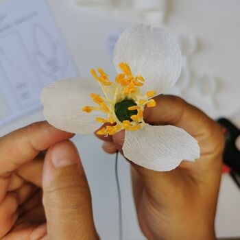 Paper Flower Craft Kit: Japanese Anemone, 7 of 8