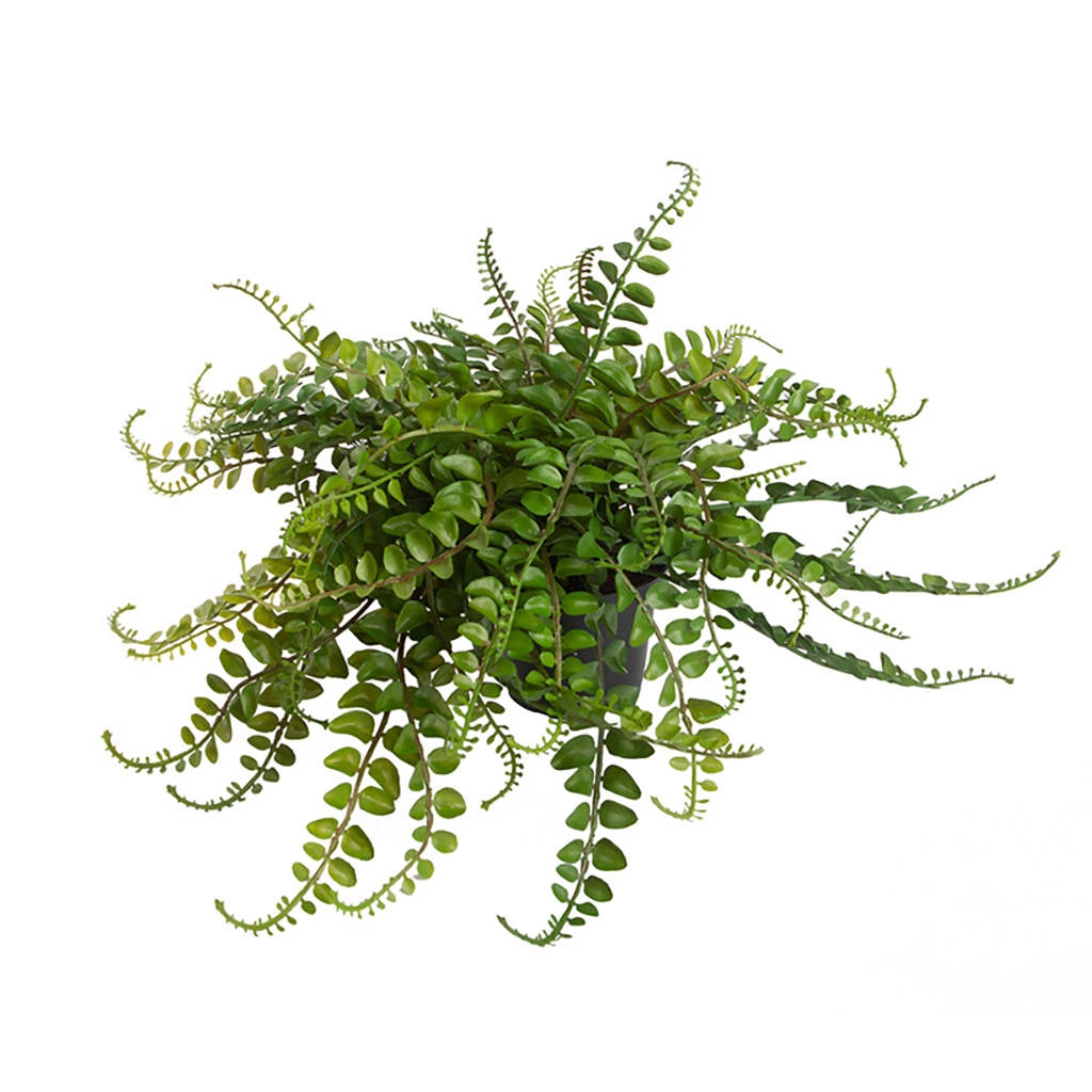 Mid Leaf Fern Artificial Indoor Plant By Dowsing & Reynolds