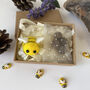 Personalised Mother's Day Bumblebee And Seeds In A Gift Box, thumbnail 2 of 5