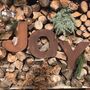 Rusty Metal Letters Personalised Decorations Signs, thumbnail 9 of 12