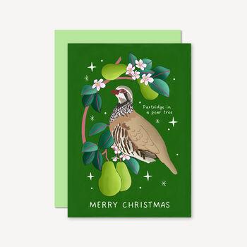 Christmas Card With Partridge In A Pear Tree Illustration, 2 of 3