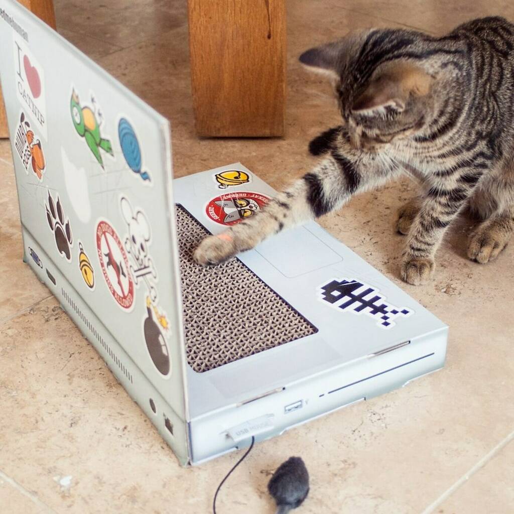 Cardboard Laptop Cat Scratch Toy, 1 of 3