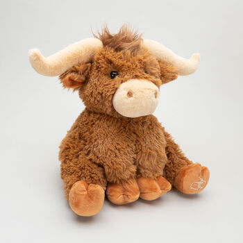 Personalised Longhorn Highland Cow Large Soft Plush Toy, 2 of 6