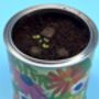 Wildflower Grow Kit With Forget Me Not Or Chamomile Seeds, thumbnail 3 of 10